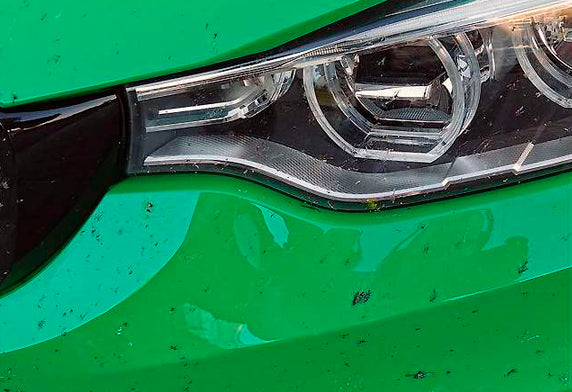 Carpro bug-out bugout 昆蟲清潔劑 汽車車身清潔劑 洗車用品